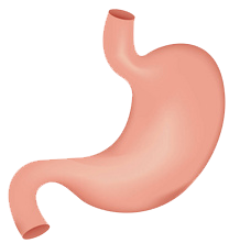 關(guān)注職場“腸”態(tài)，守護員工健康——上海格瑞特特邀消化內(nèi)科專家公益系列講座（4）(圖9)